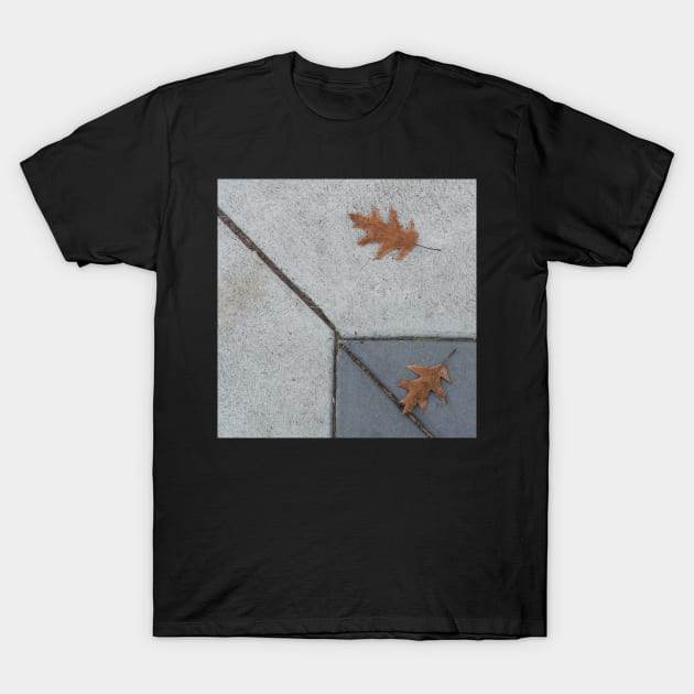 Fall Sidewalk T-Shirt by graphius